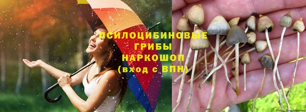 марки lsd Балахна