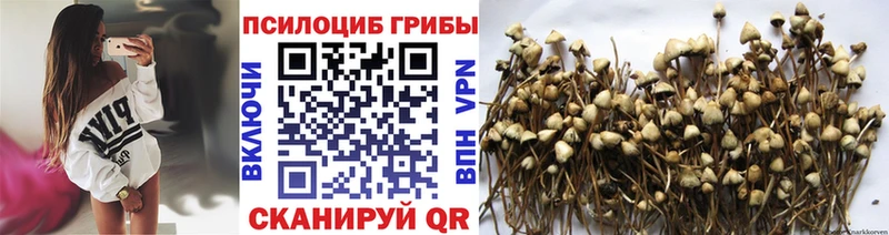 Галлюциногенные грибы MAGIC MUSHROOMS  MEGA маркетплейс  Омутнинск 